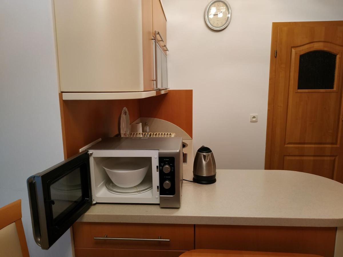 Apartament Zoya + Garaz Krynica Zdroj Εξωτερικό φωτογραφία