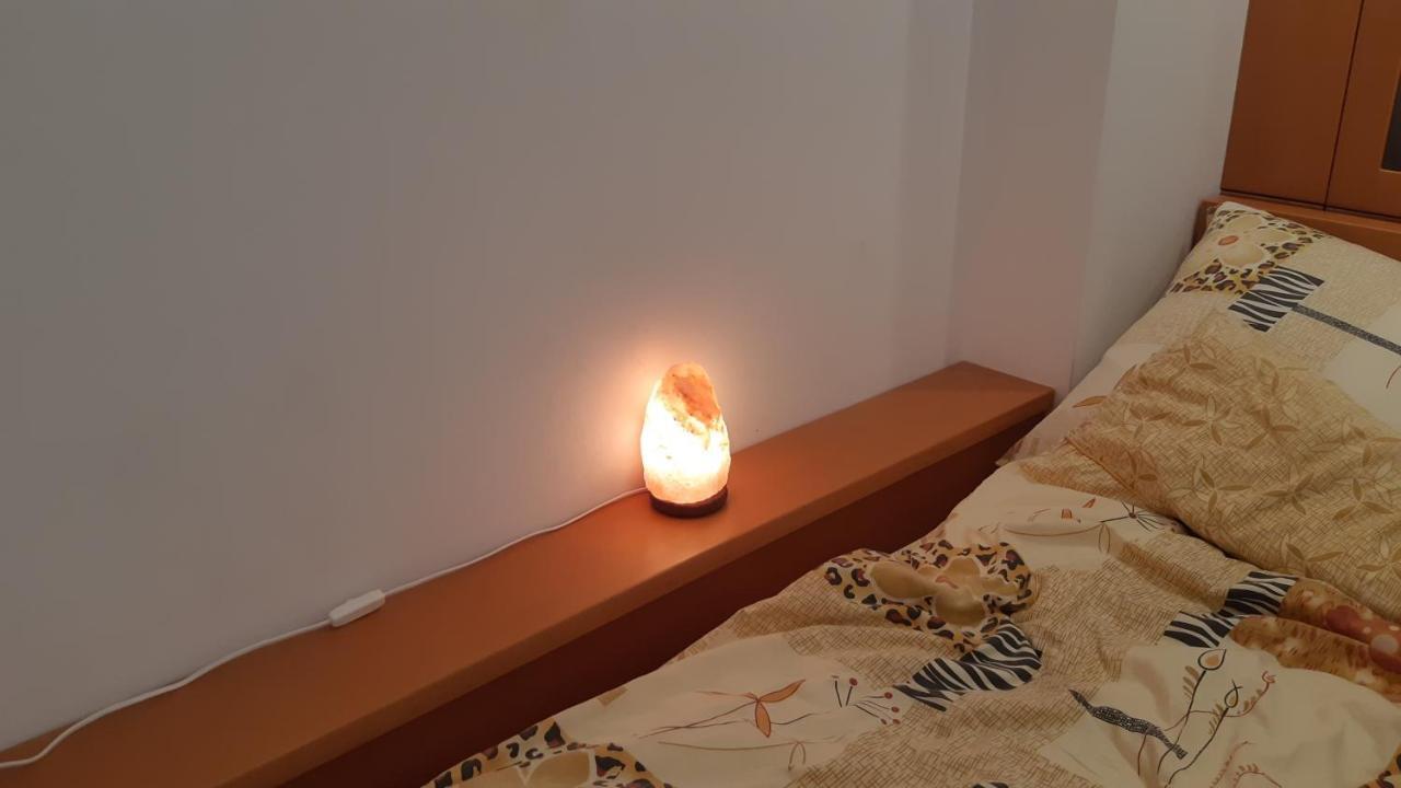 Apartament Zoya + Garaz Krynica Zdroj Εξωτερικό φωτογραφία