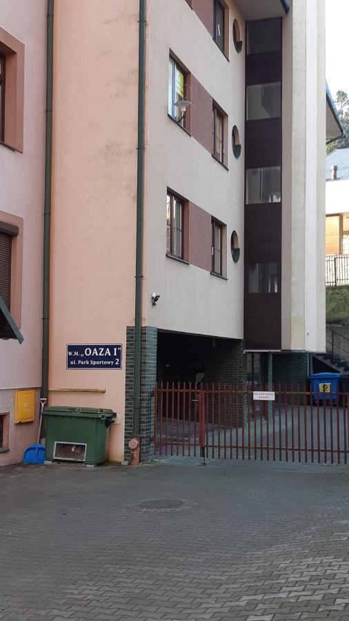 Apartament Zoya + Garaz Krynica Zdroj Εξωτερικό φωτογραφία